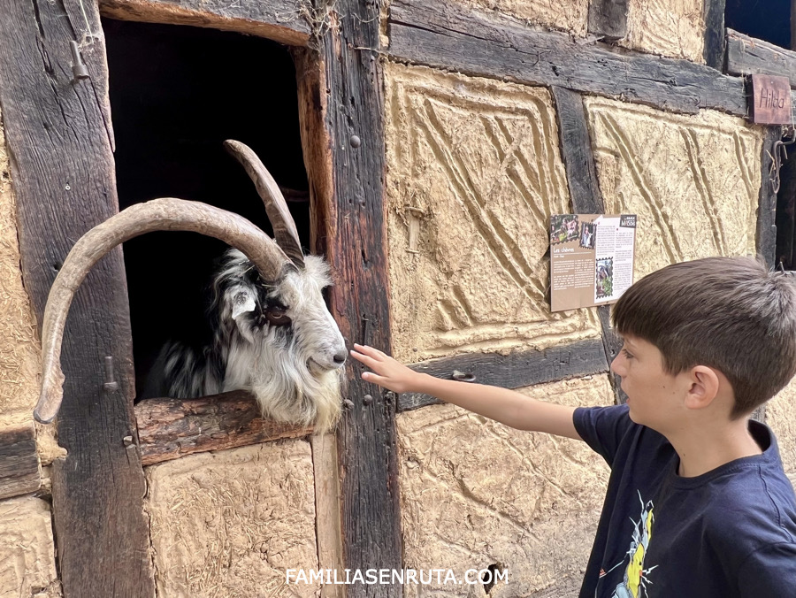 Musee Alsacia niños