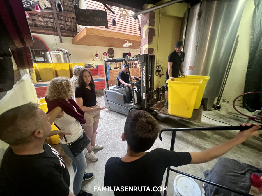 Visita bodega Alsacia