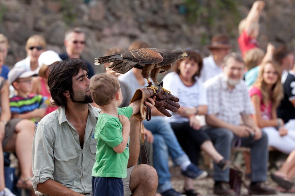 La Volerie des Aigles