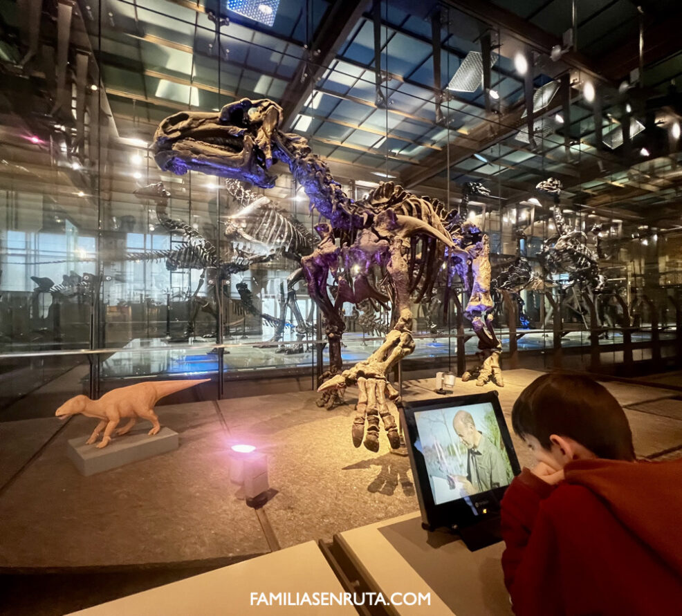 Museo Historia Natural Bruselas