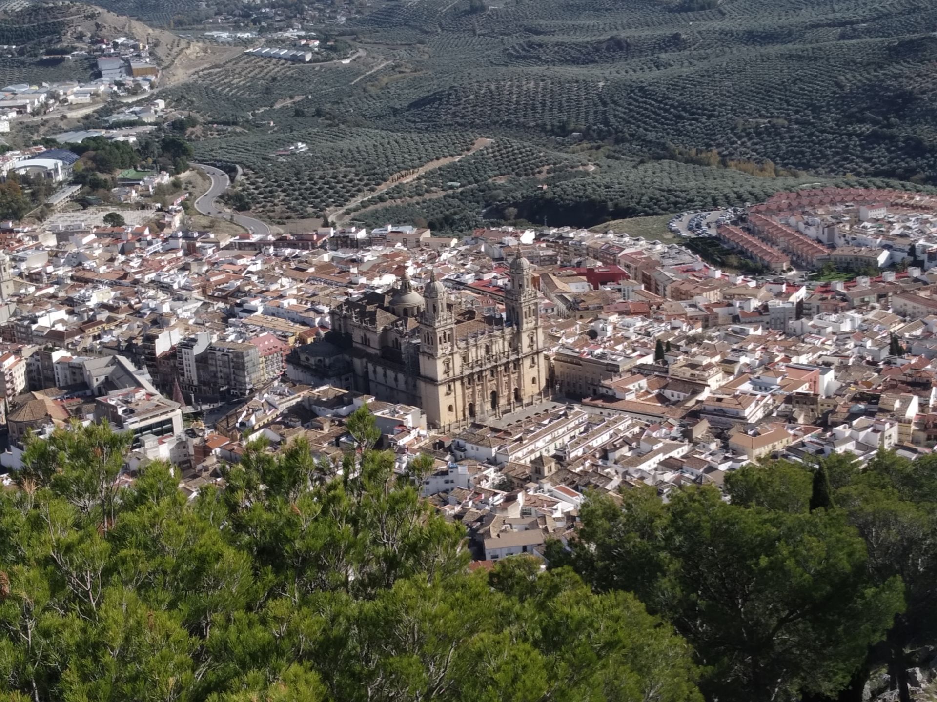 Jaén con niños