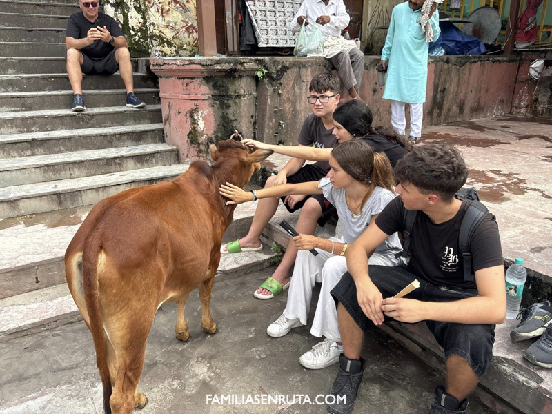 India con familias