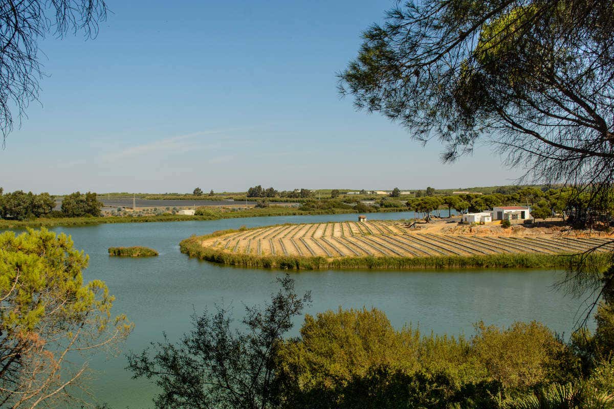 Huelva con niños