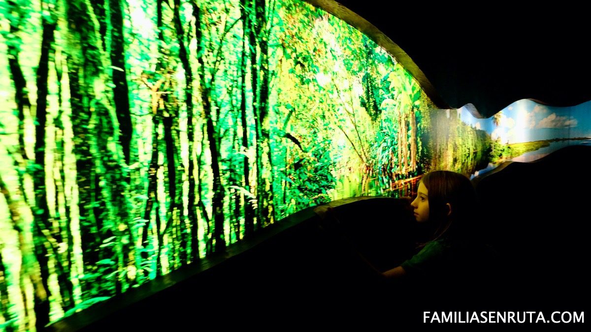 oceanario de Lisboa con niños
