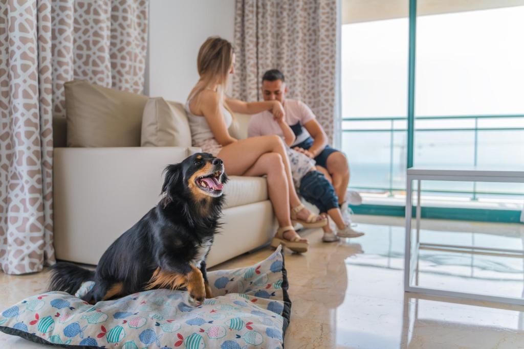 Top 10 hoteles todo incluido que admiten mascotas en España