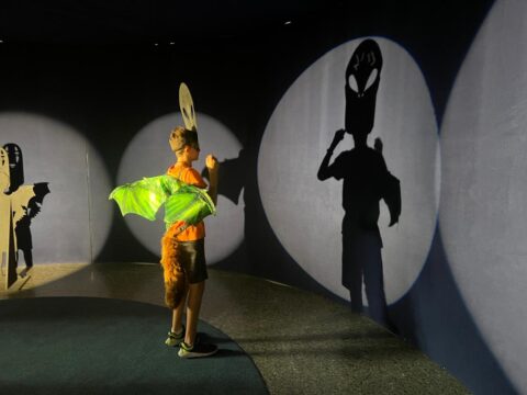 Museu de les Ciències de València