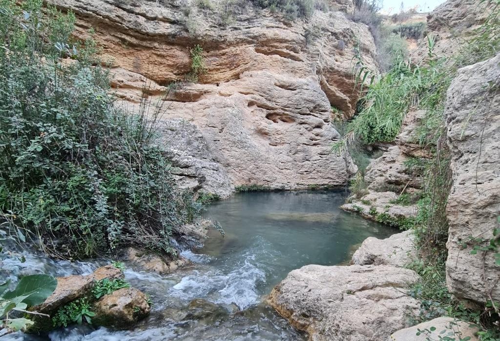 Murcia con niños en 18 planes para no perderse