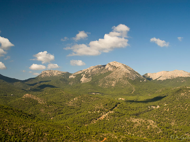 Murcia con niños en 18 planes para no perderse