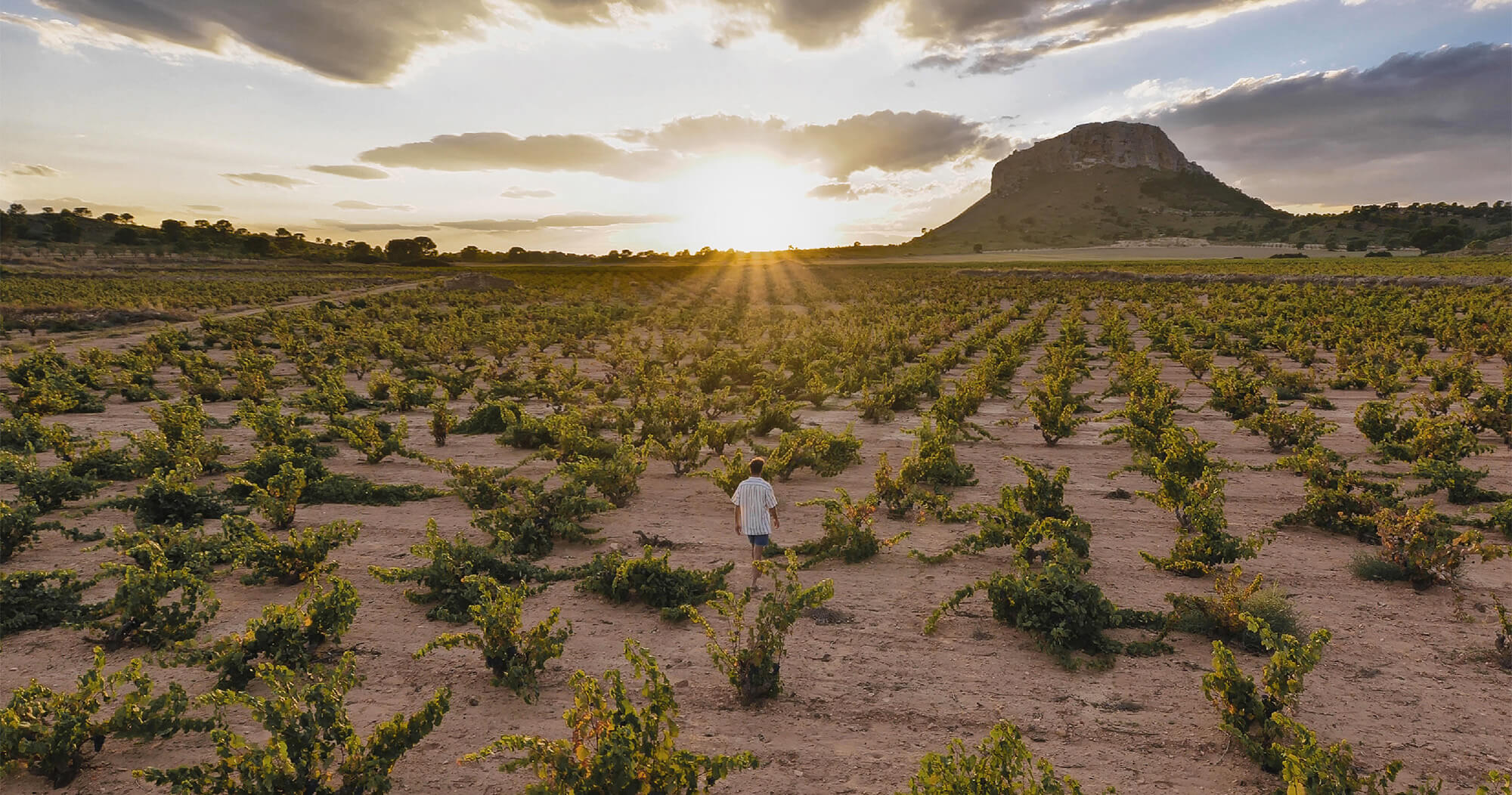 Murcia con niños en 18 planes para no perderse