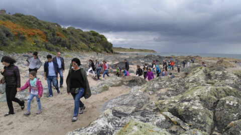 Curso de inglés para familias y vacaciones en Irlanda