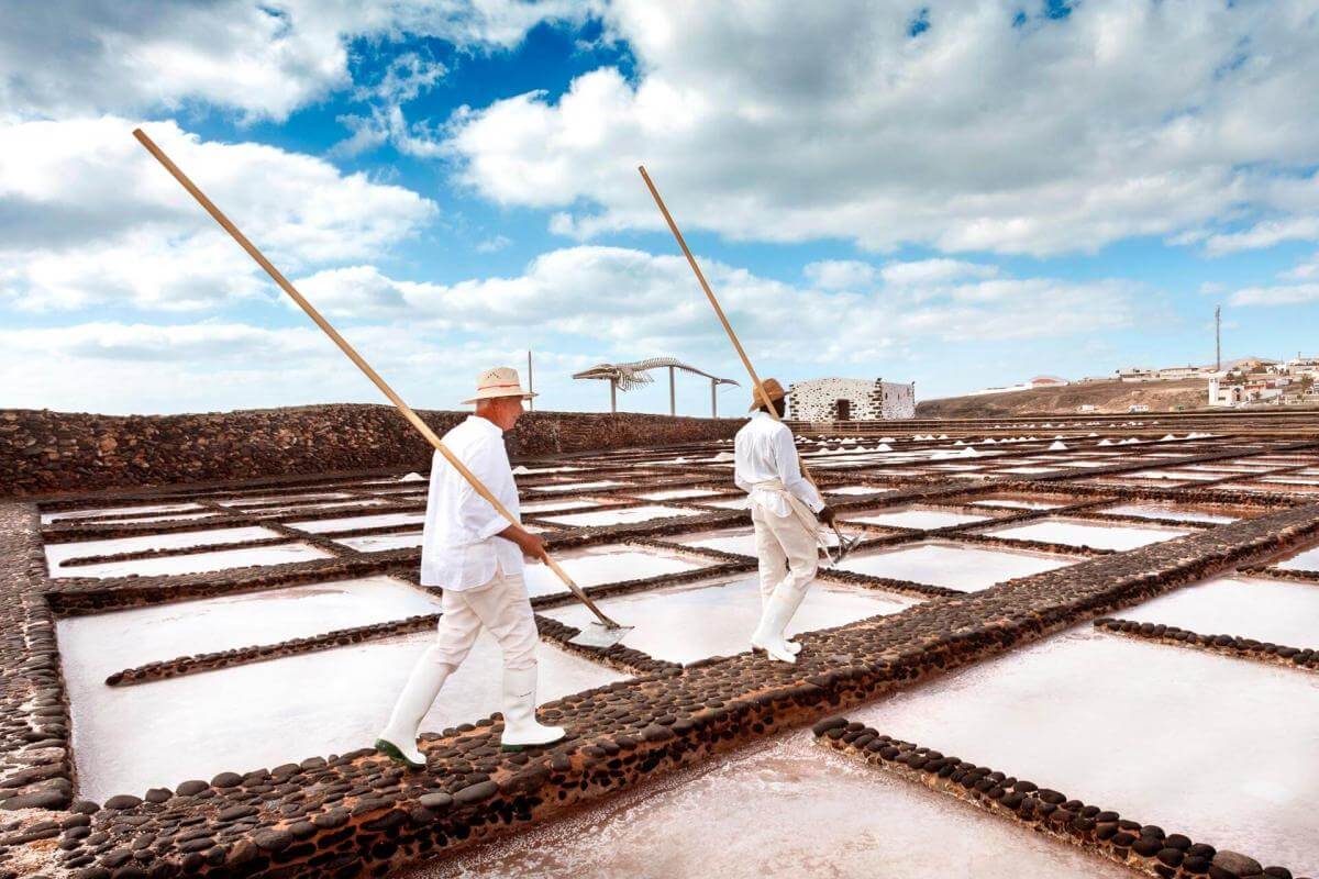 Fuerteventura con niños en 12 planes para no perderse