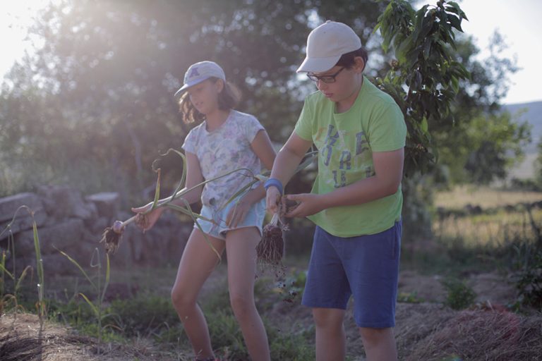 + 50 casas rurales para ir con niños en España