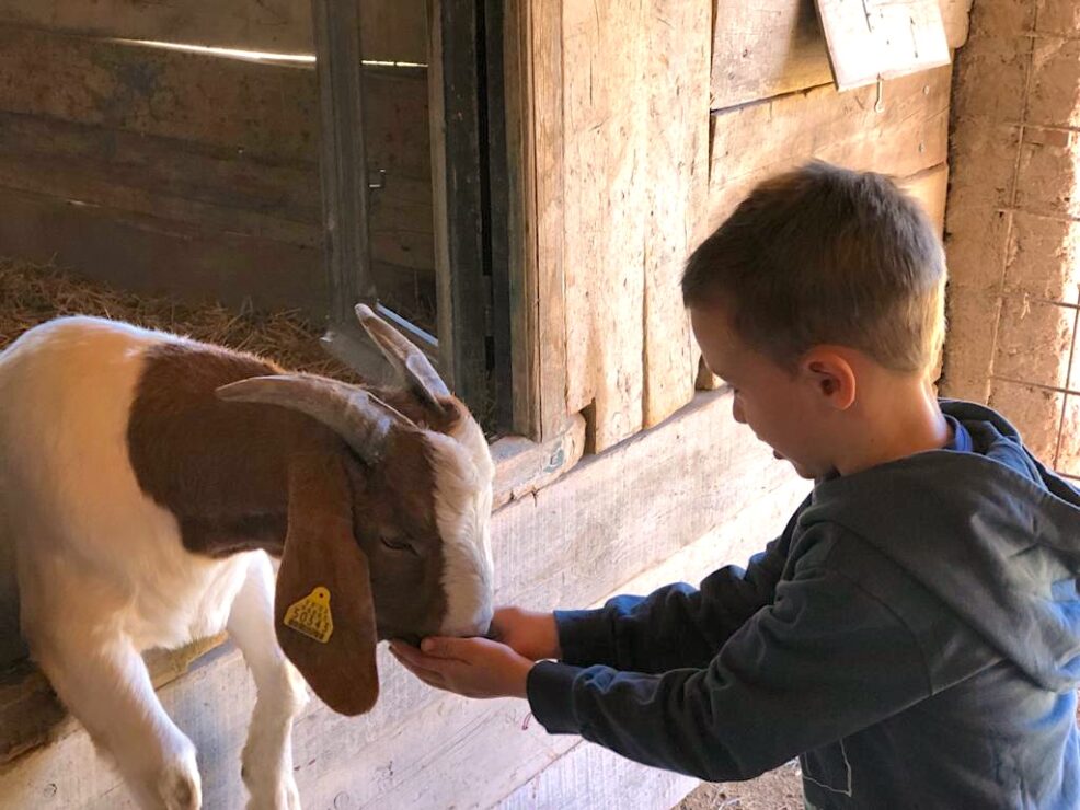 agroturismo para hacer con niños
