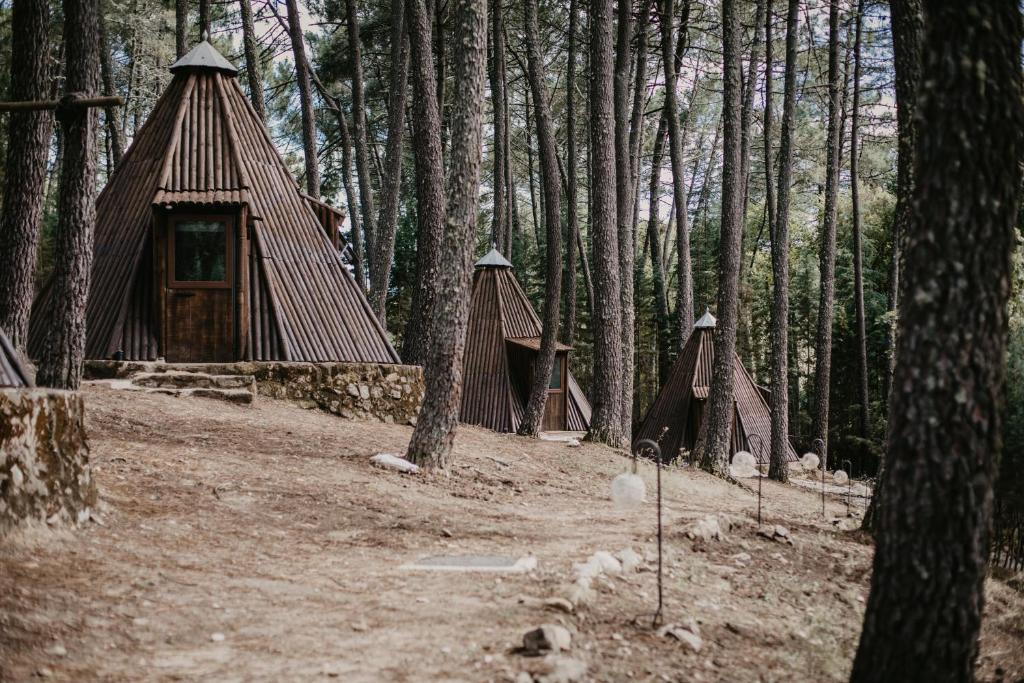 glamping para ir con niños