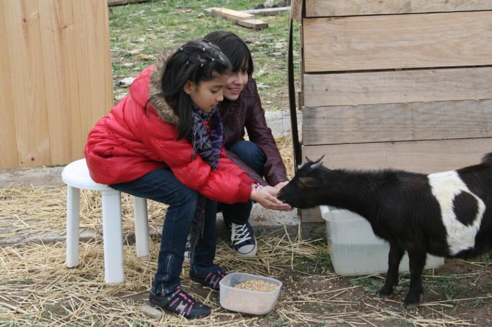 + 50 casas rurales para ir con niños en España