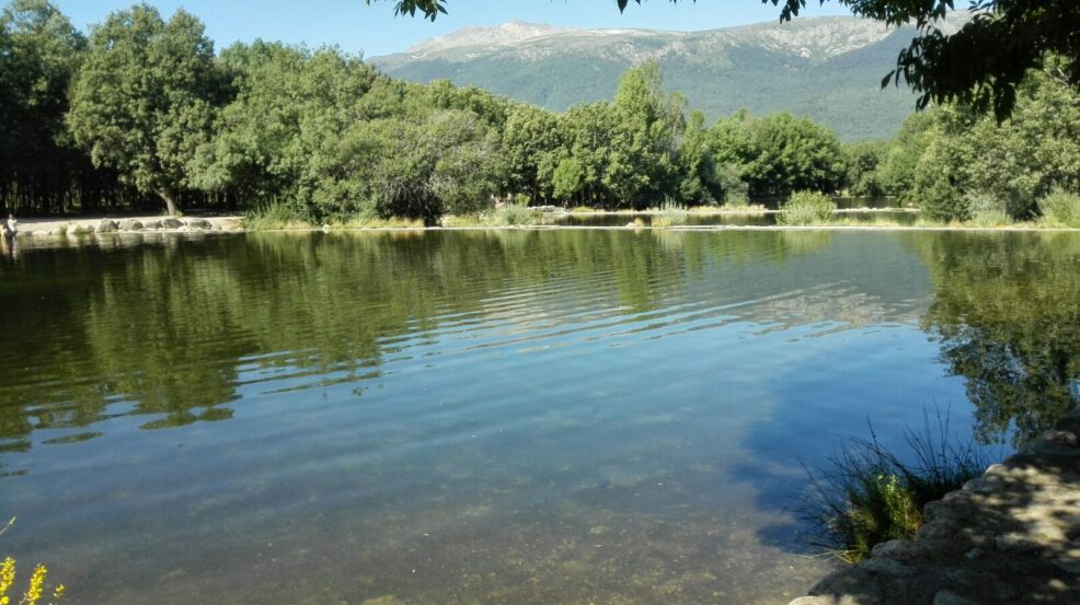 15 excursiones de un día desde Madrid con niños